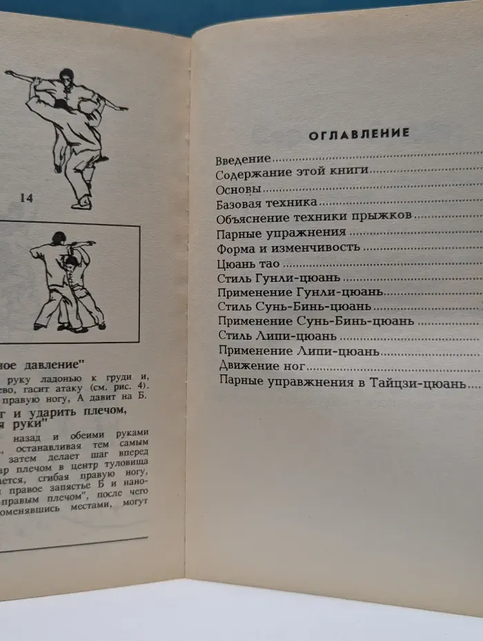 Будо. Искусство кулачного боя северокитайских школ кэмпо