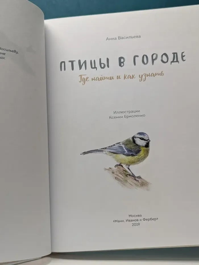 Птицы в городе. Где найти и как узнать