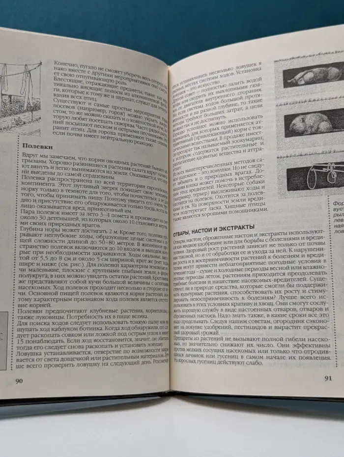 Сад и огород