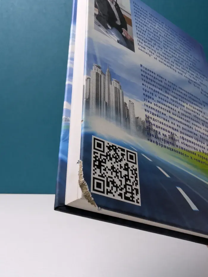 Россия на пути к Smart обществу
