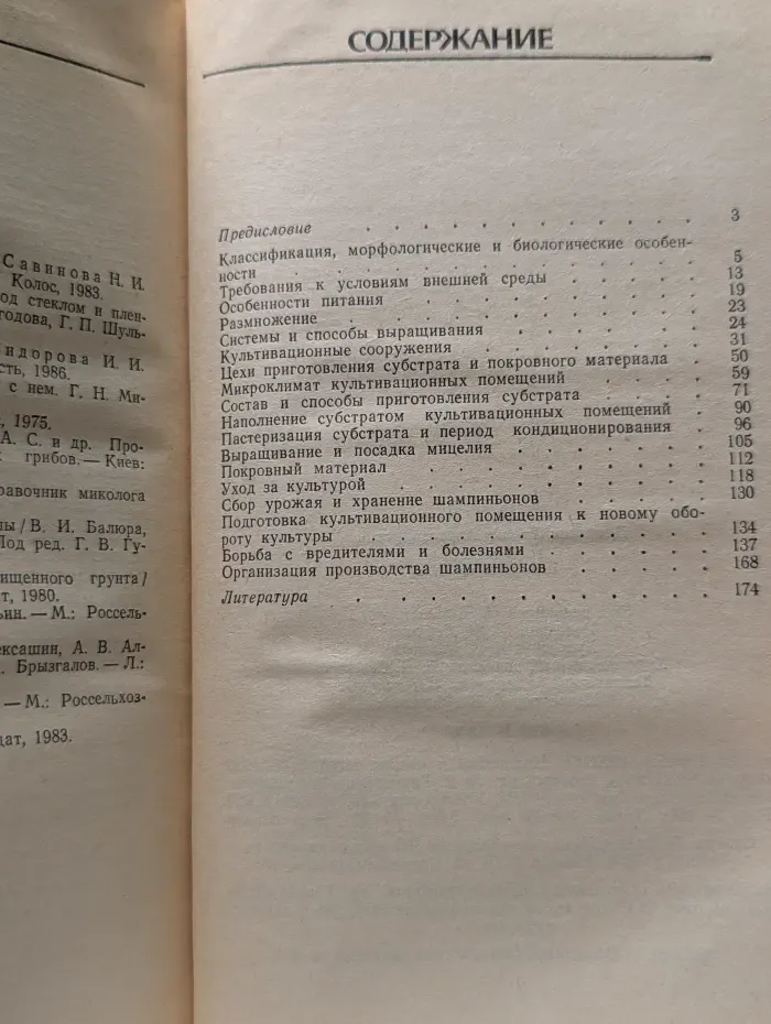 Шампиньоны