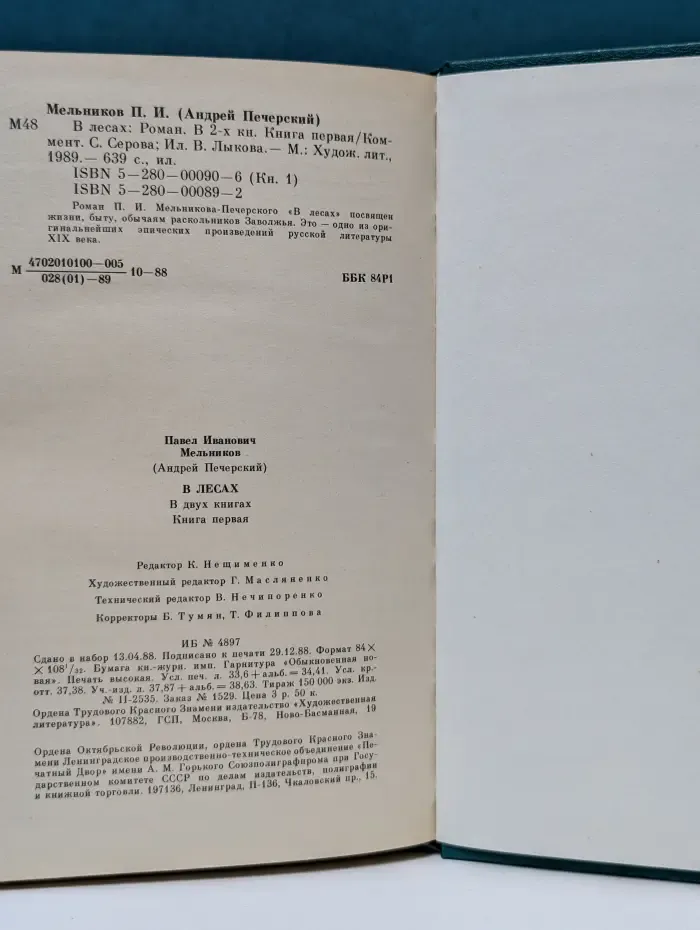 В лесах. В 2 книгах. Книга 1