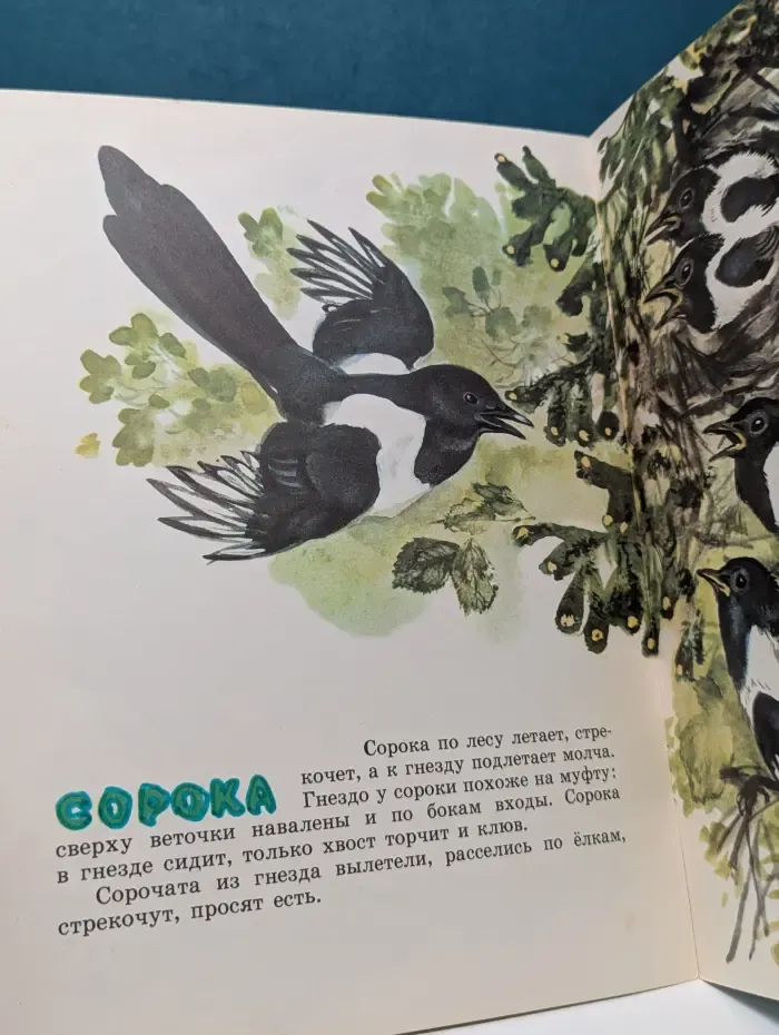 Библиотека детского сада. Про птиц