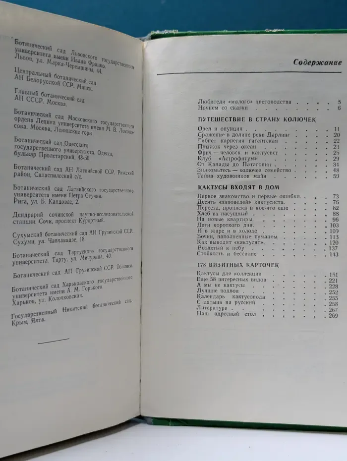 Кактусы