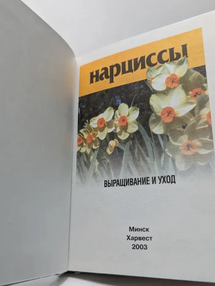 Нарциссы. Выращивание и уход