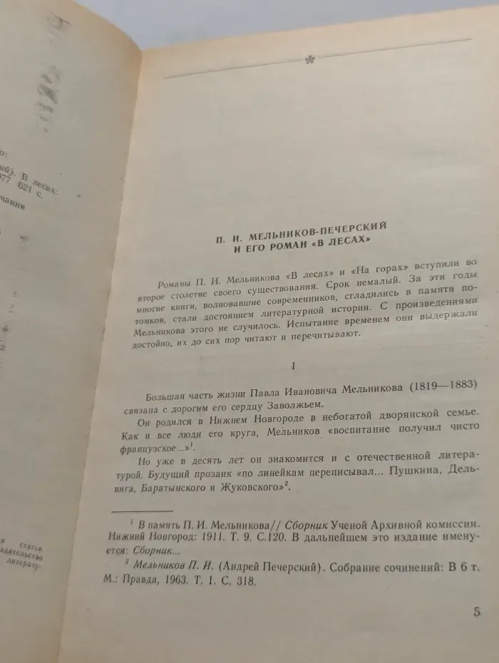 В лесах. Роман в 2 книгах. Книга 1