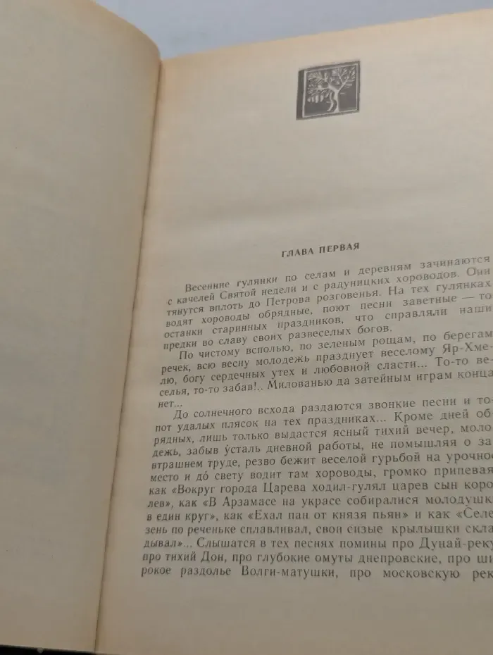 В лесах. В 2 книгах. Книга 2