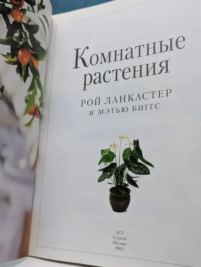 Комнатные растения