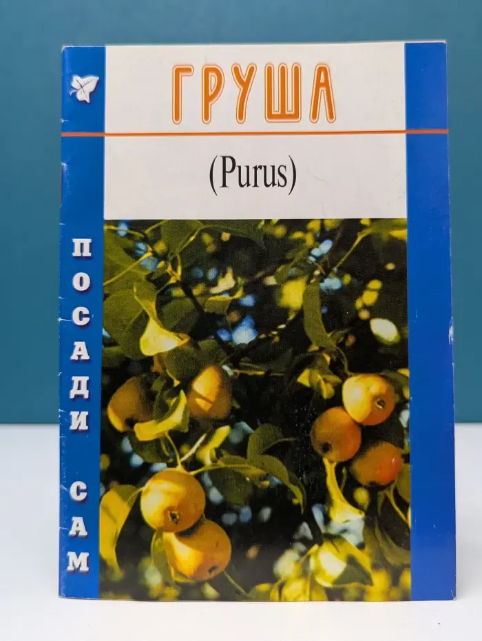 Посади сам. Груша