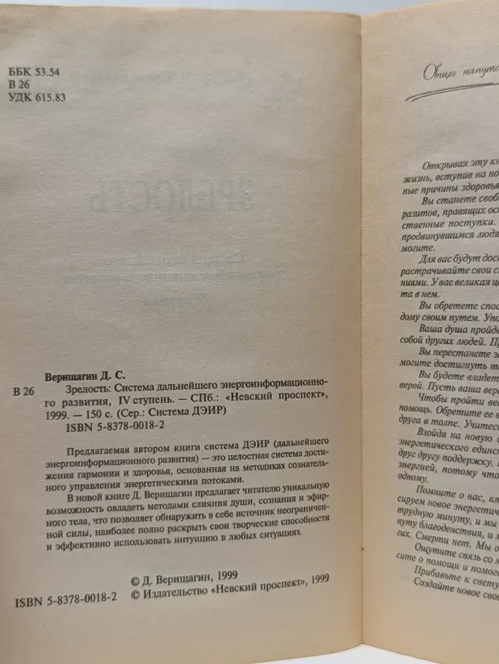 Система ДЭИР. Зрелость. Система дальнейшего энергоинформационного развития, IV ступень