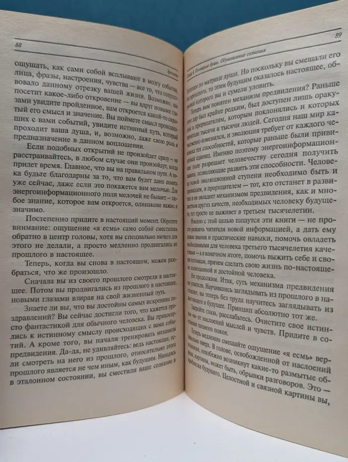 Система ДЭИР. Зрелость. Система дальнейшего энергоинформационного развития, IV ступень