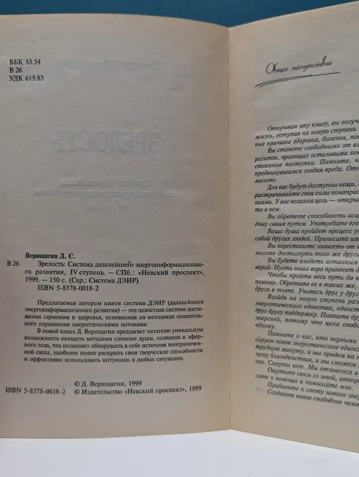 Система ДЭИР. Зрелость. Система дальнейшего энергоинформационного развития, IV ступень