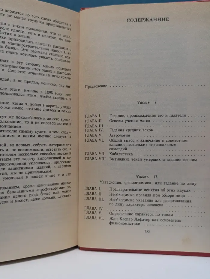 Русский дом. Современная ворожея, или Чудесное зеркало волшебно-таинственных открытий