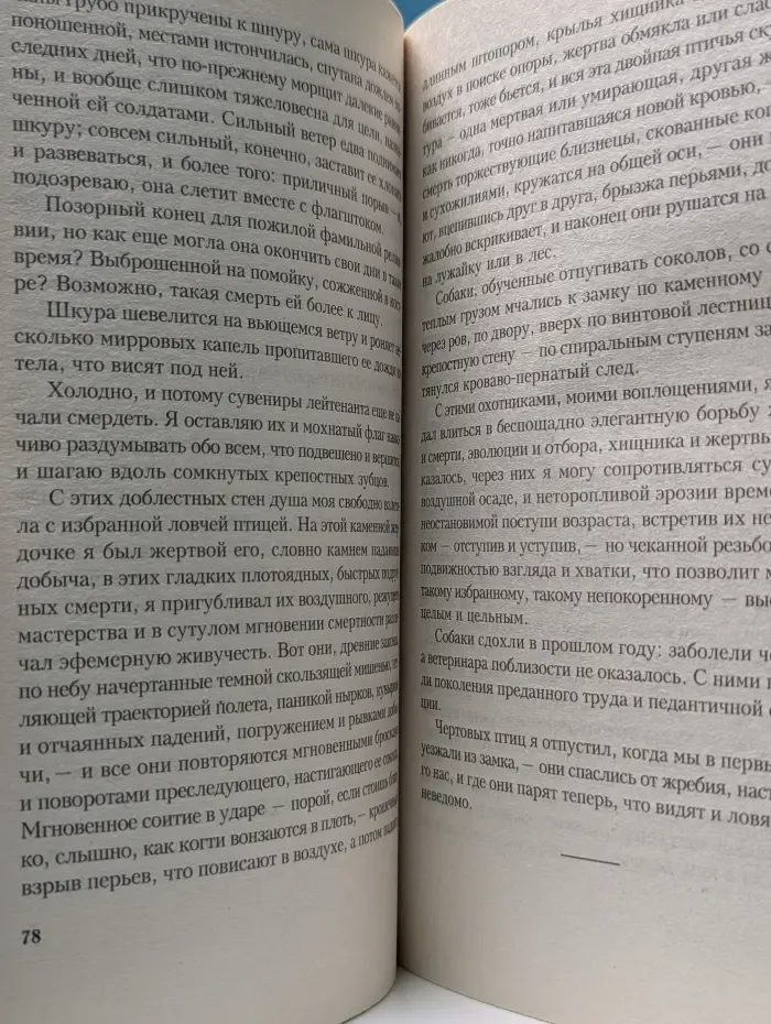 Песнь камня