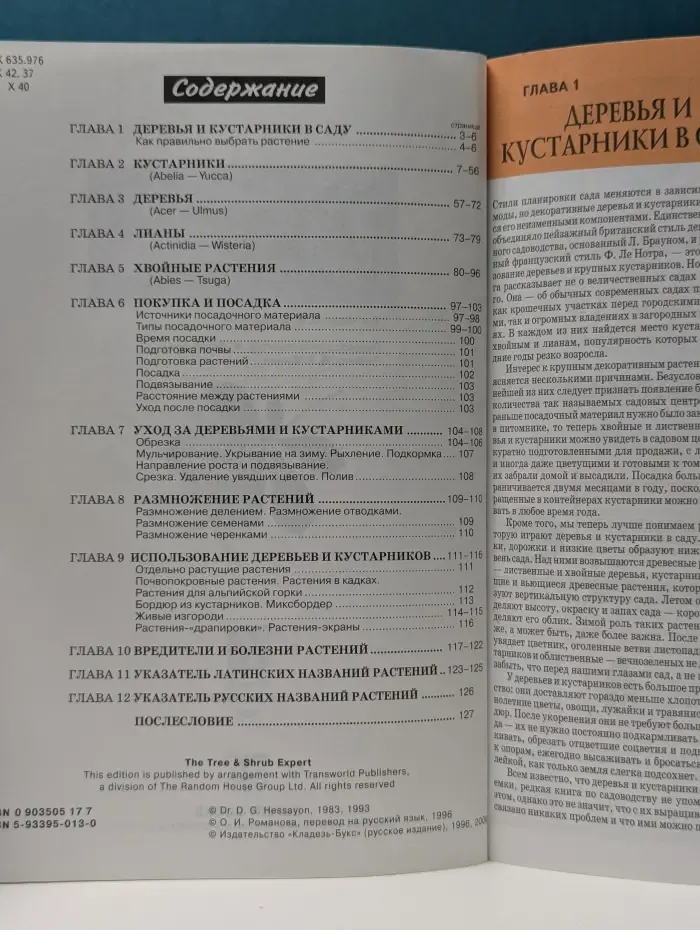 Все о декоративных деревьях и кустарниках