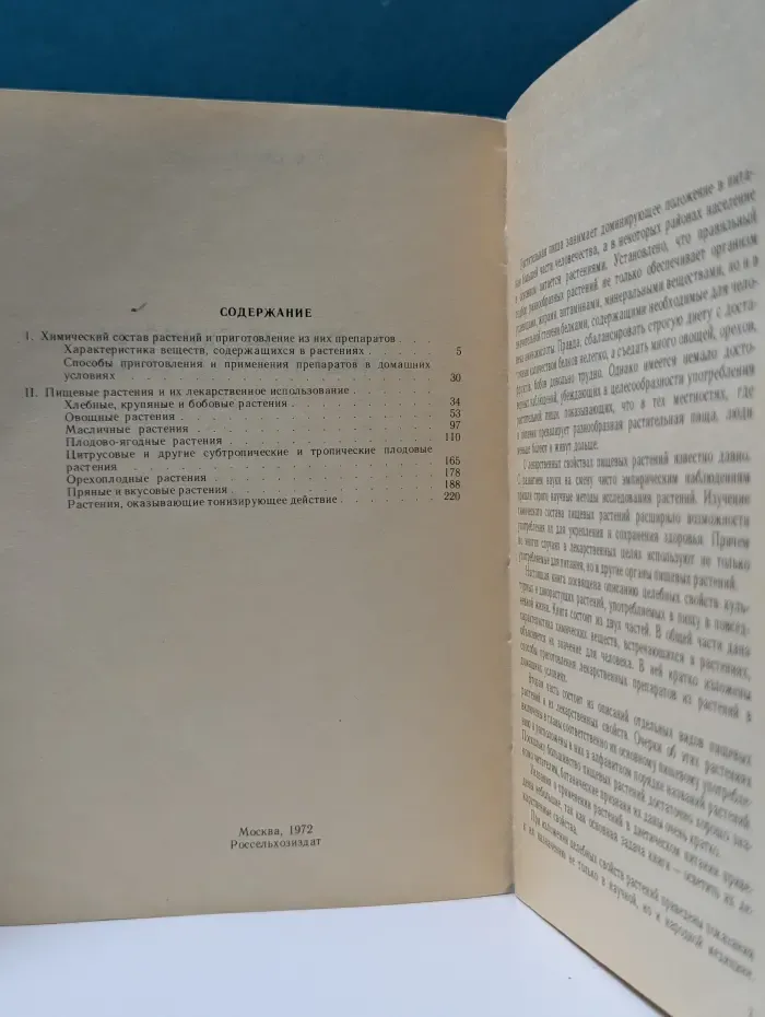 Целебные свойства пищевых растений