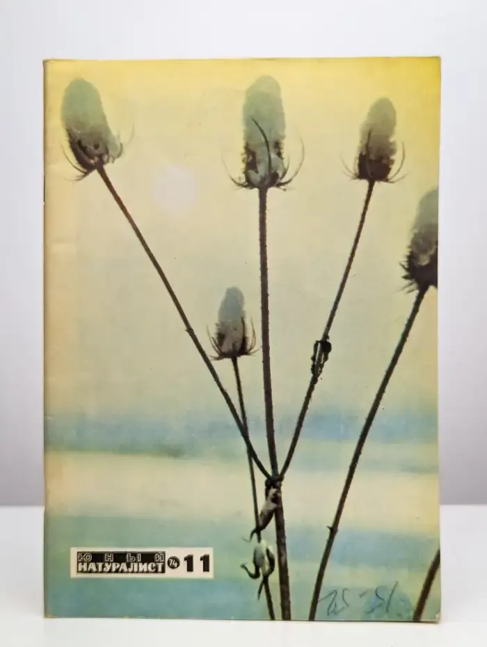 Юный натуралист. Выпуск № 11/1974