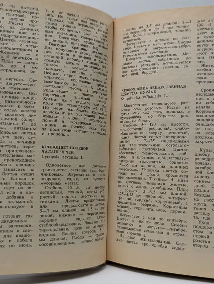 Дикорастущие пищевые растения