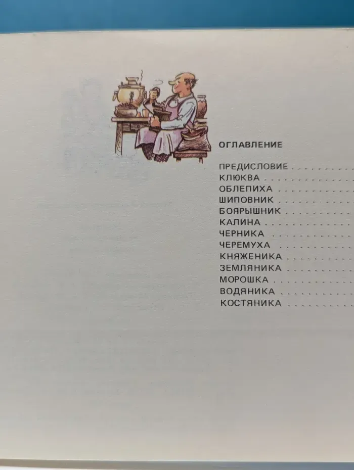Напитки из дикорастущих плодов и ягод