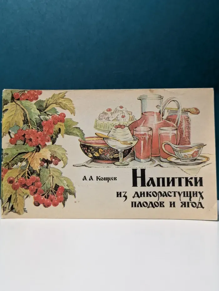 Напитки из дикорастущих плодов и ягод