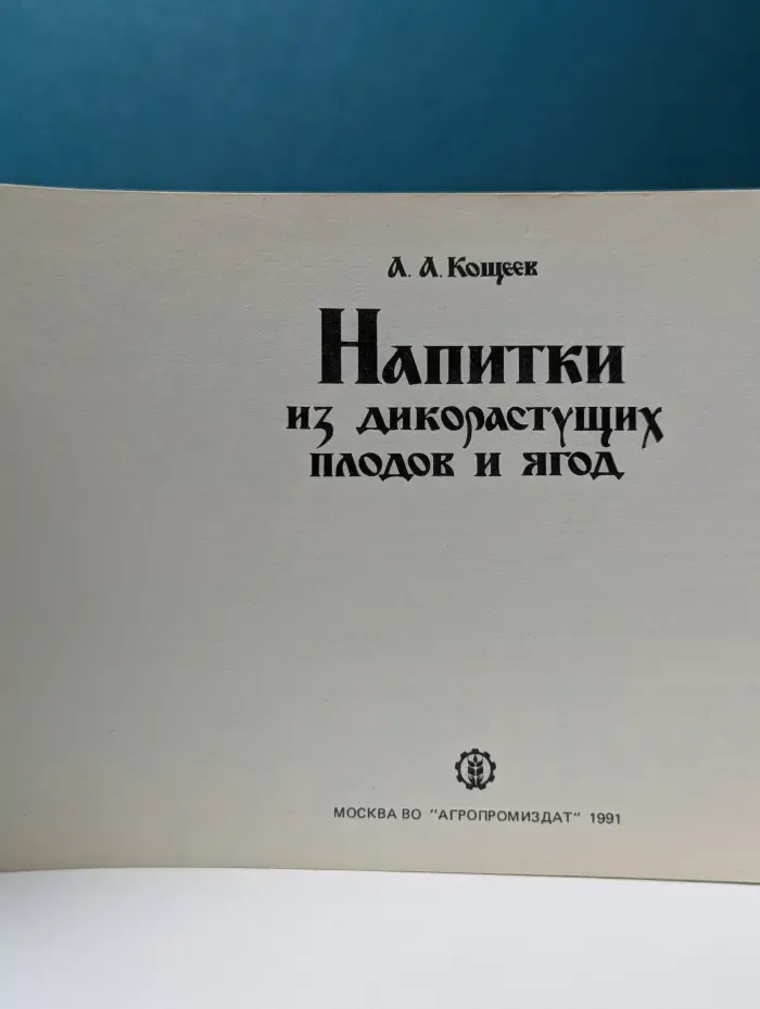 Напитки из дикорастущих плодов и ягод