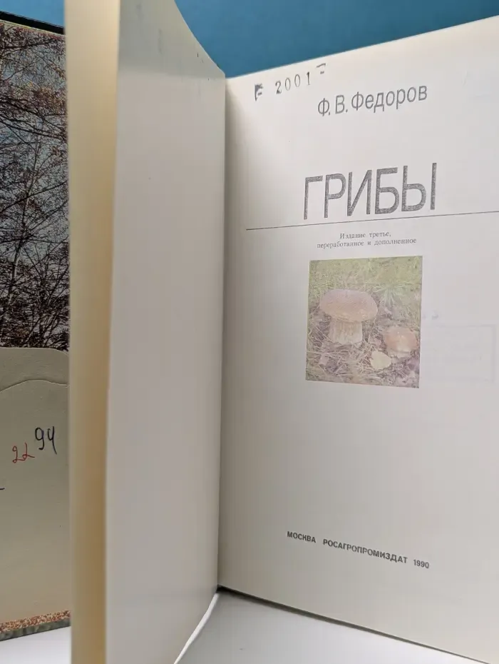 Грибы