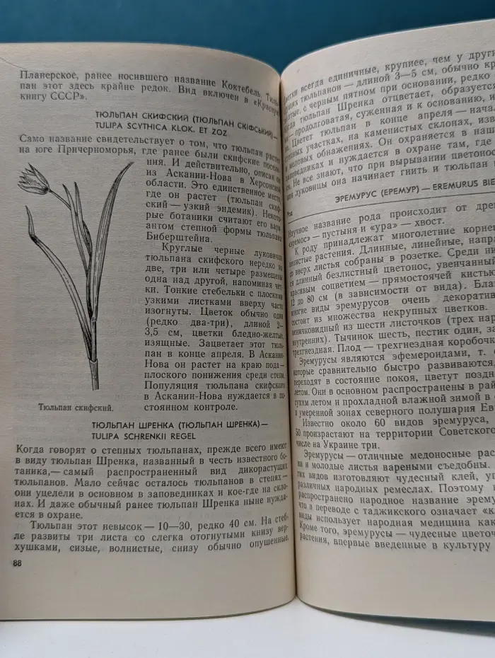 Научно-популярная литература. Охраняемые растения Украины