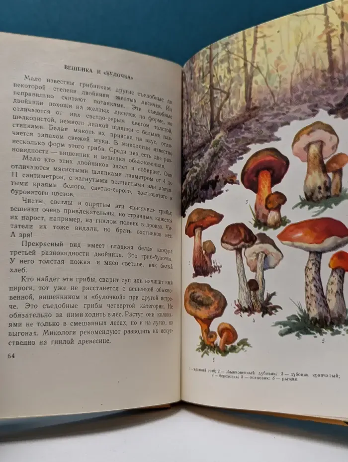 Дары русского леса. Грибы и ягоды