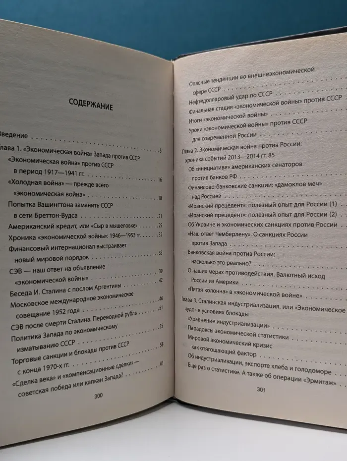 Экономика для русских. Антикризис. Выжить и победить