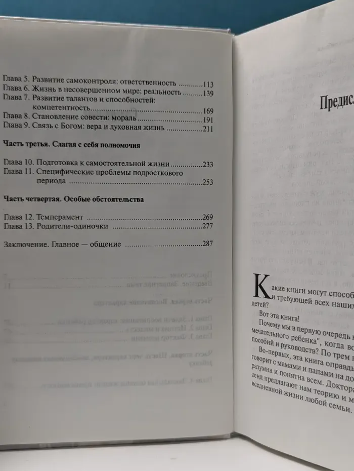 Как воспитать замечательного ребенка