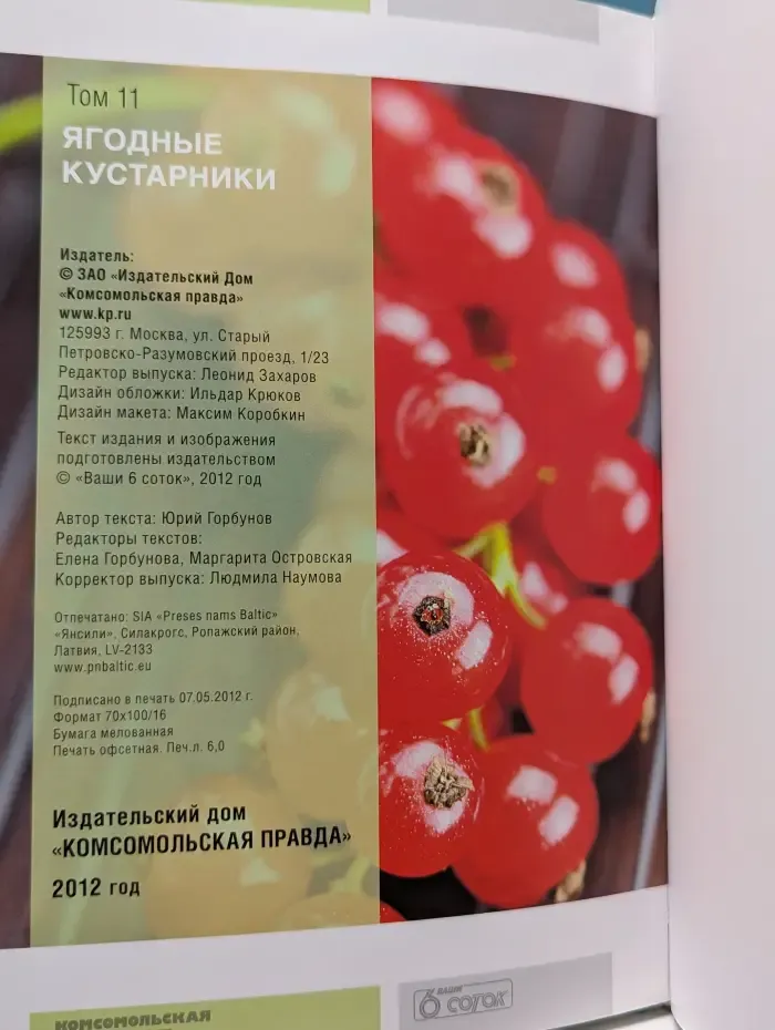 Моя чудесная дача. Том 11. Ягодные кустарники