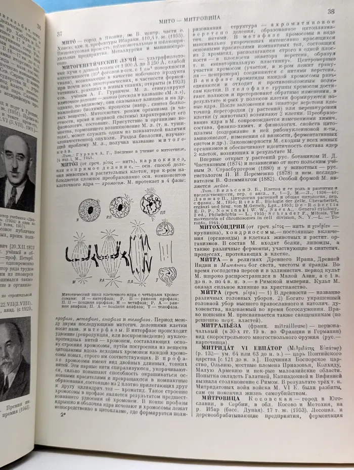 Малая советская энциклопедия. Том 6. Минеры-первомайка