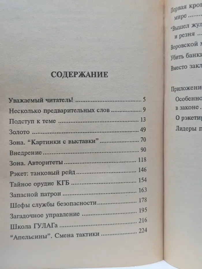 Воры в законе. Бросок к власти