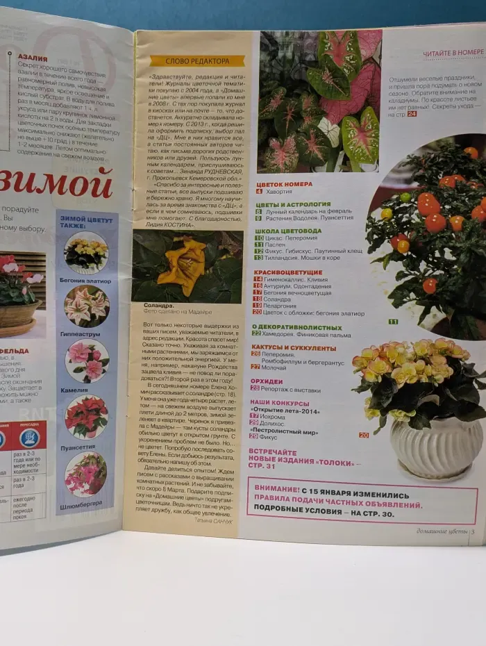 Домашние цветы. Выпуск № 1/2015