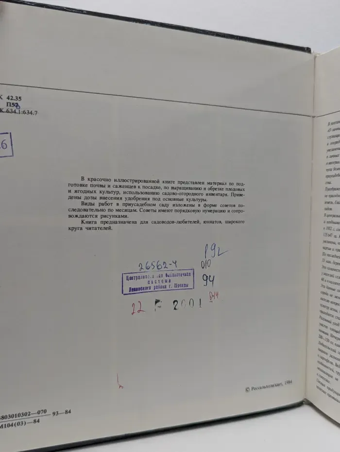Приусадебный сад