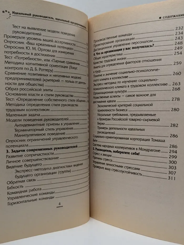 Идеальный руководитель, идеальный предприниматель