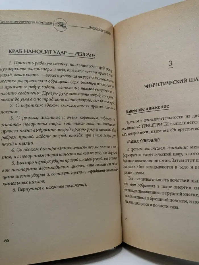 Психоэнергетические практики Карлоса Кастанеды. Дар Нагваля