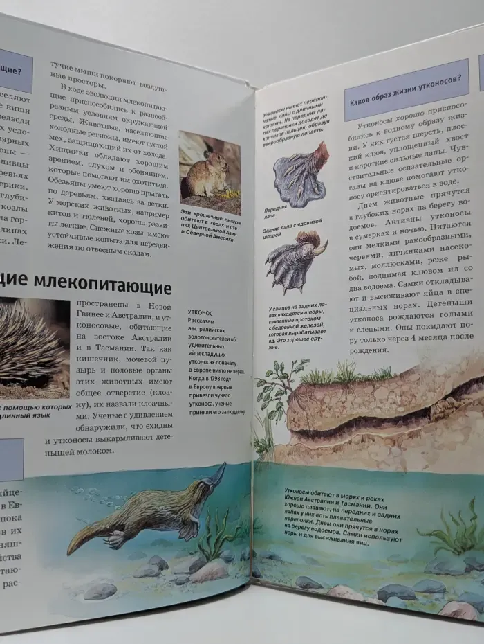 Зачем и почему. Дикие животные