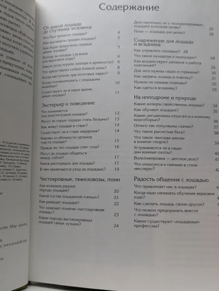 Лошади