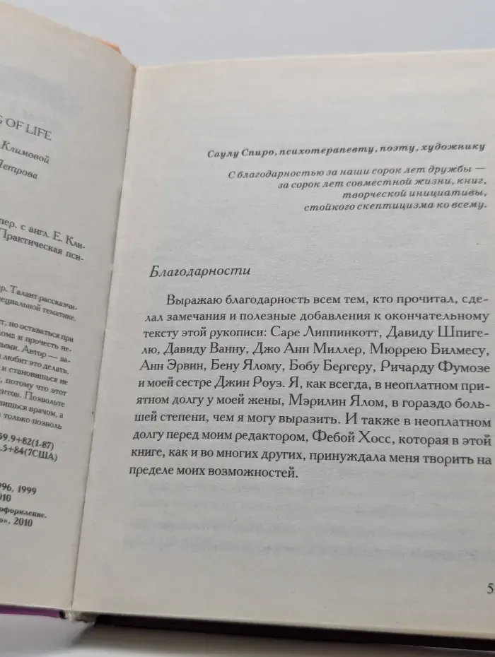 Практическая психотерапия. Мама и смысл жизни