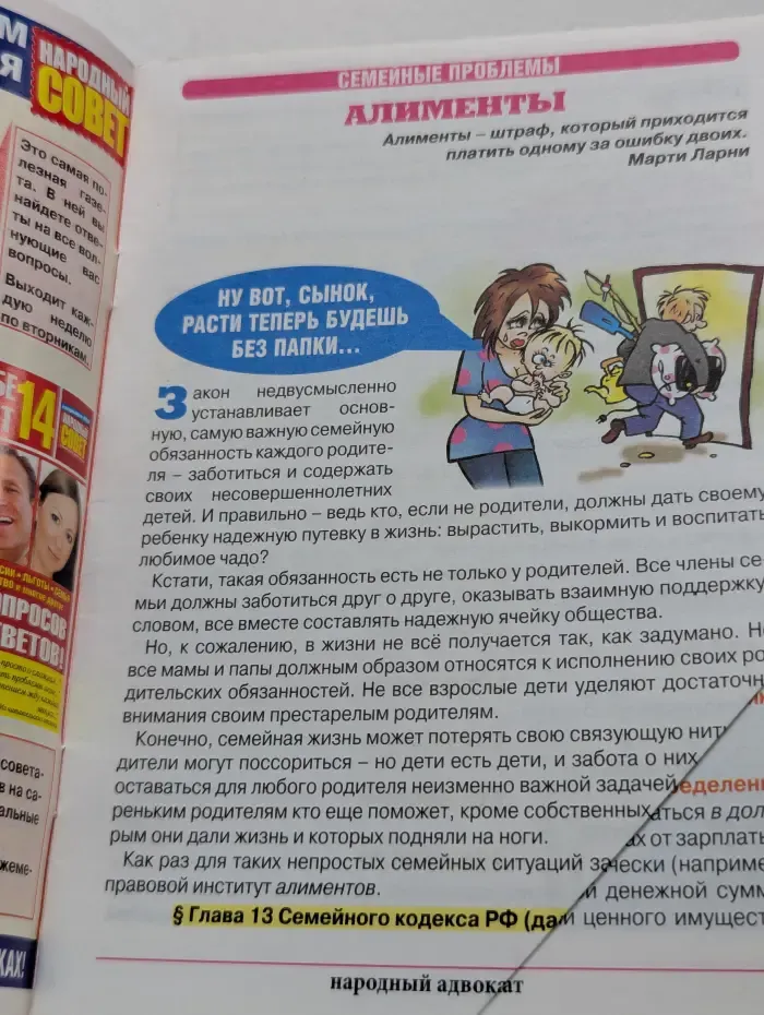 Народный адвокат. Выпуск № 6/2010