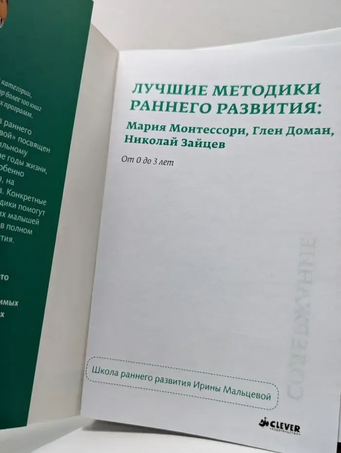 Школа раннего развития Ирины Мальцевой. Лучшие методики раннего развития: Мария Монтессори, Глен Доман, Николай Зайцев. От 0 до 3 лет
