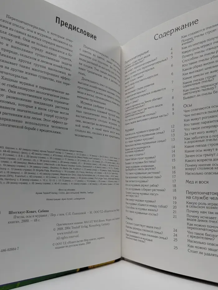 Зачем и почему. Пчелы, осы и муравьи