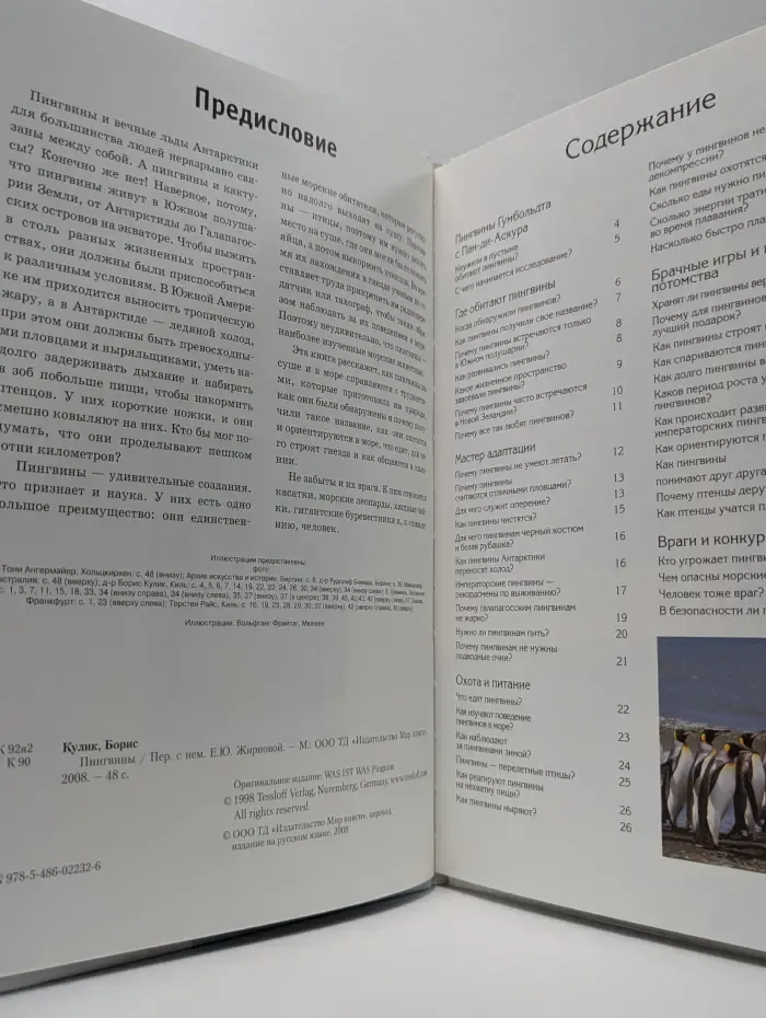 Зачем и почему. Пингвины