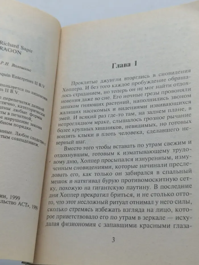Дестроер. Бамбуковый дракон