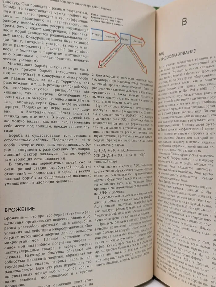 Энциклопедический словарь юного биолога