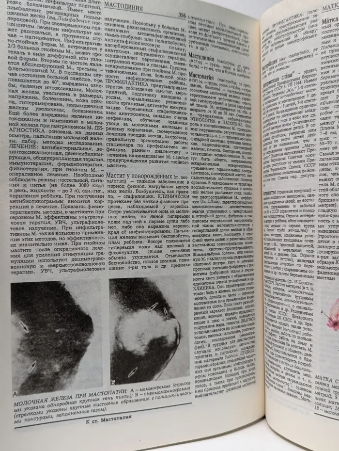 Здоровье матери и ребенка. Энциклопедия