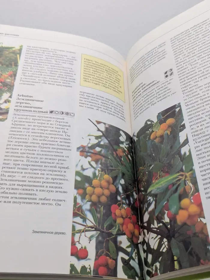 Женщины, книга для вас. Декоративные растения