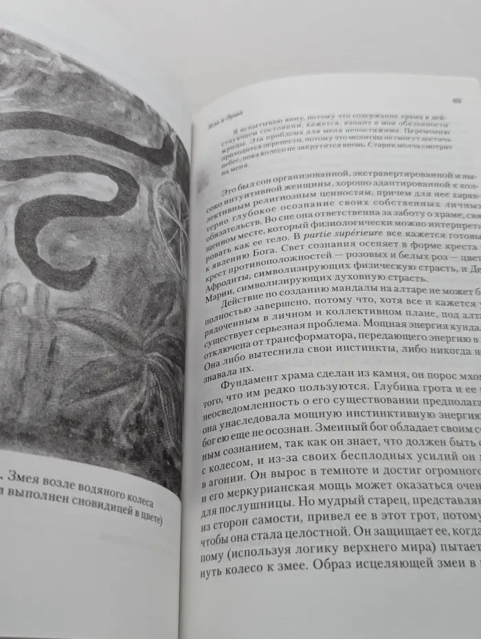 Юнгианская психология. Сова была раньше дочкой пекаря. Ожирение, нервная анорексия и подавленная женственность