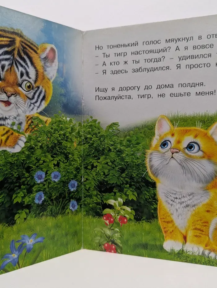 Для начинающих. Тигренок и котенок